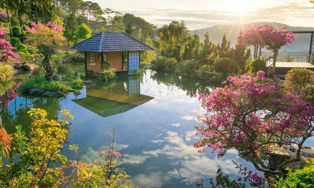 new-year-2026-vietnam-travel-guide